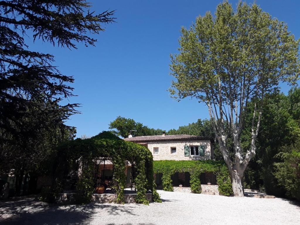 Mas De L'Ile Bed & Breakfast Avignon Exterior photo